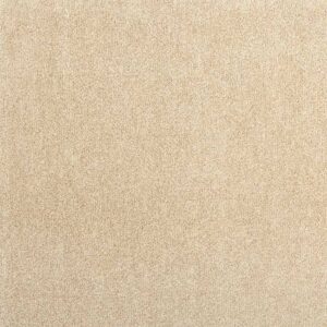 carpet tapibel atlas