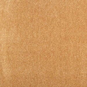 Tapibel ATLAS-513_20