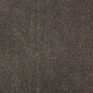 Tapibel ATLAS-513_36