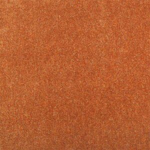 Tapibel ATLAS-513_38