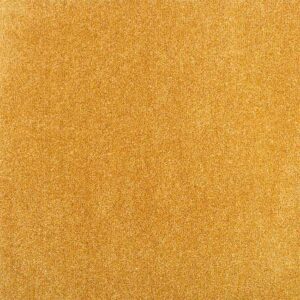 Tapibel ATLAS-513_49