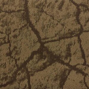 Tapibel EARTH_61123