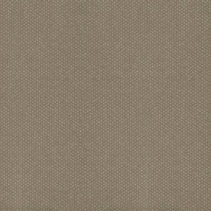 Tapibel-MILANO-II-609_20
