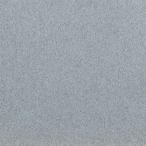 Tapibel-PresidentE-65310