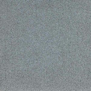 Tapibel-PresidentE-65323