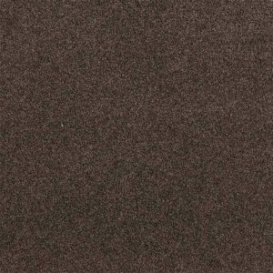 Tapibel-PresidentE-65332